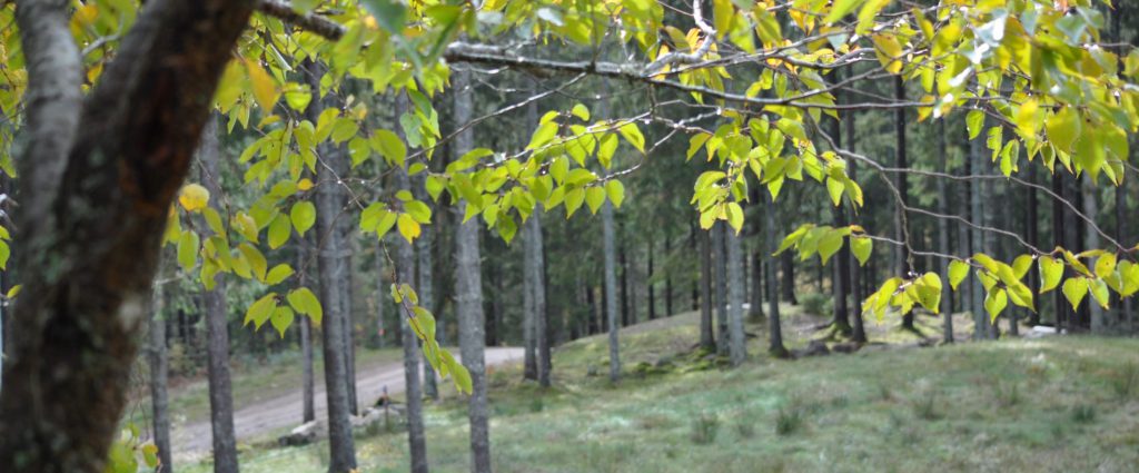 dsc_0103 dsc_0103